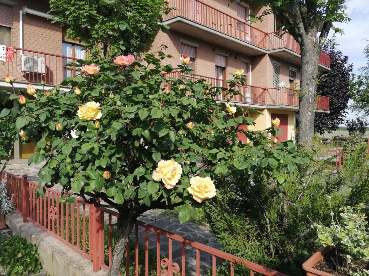 Gold B&B Ravarino Dış mekan fotoğraf
